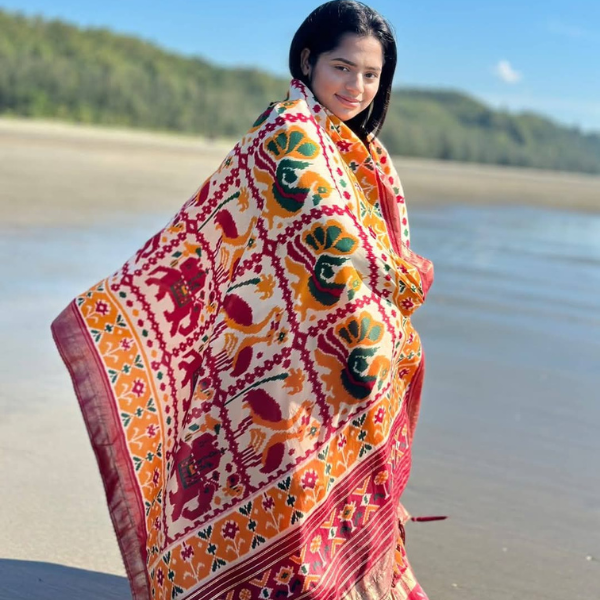 Lehenga Choli 5