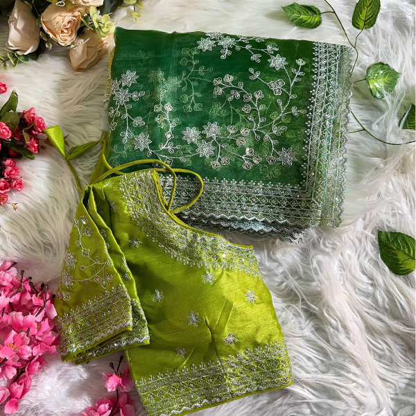 Organza Silk Saree 2