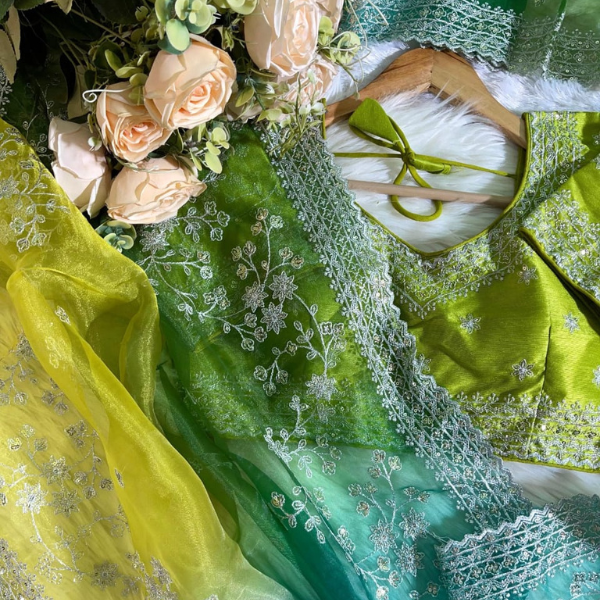 Organza Silk Saree Digital Print